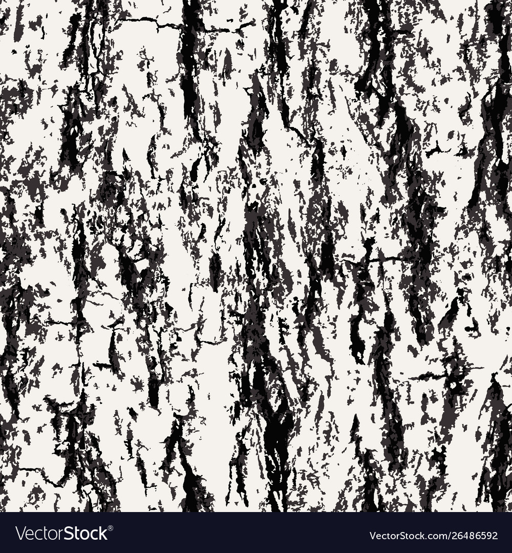 Texture bark shape with seamless background