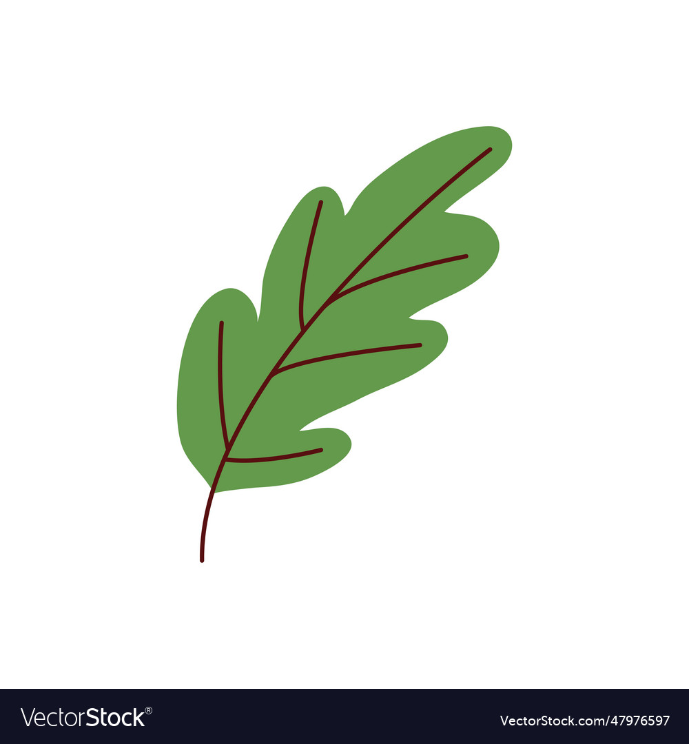 Green leaf for oktoberfest Royalty Free Vector Image