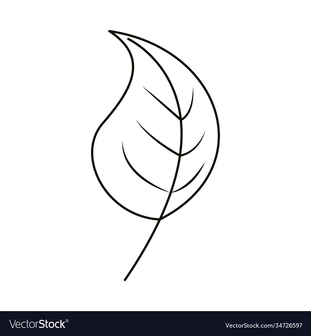 Leaves line icon style leaf foliage natural Vector Image