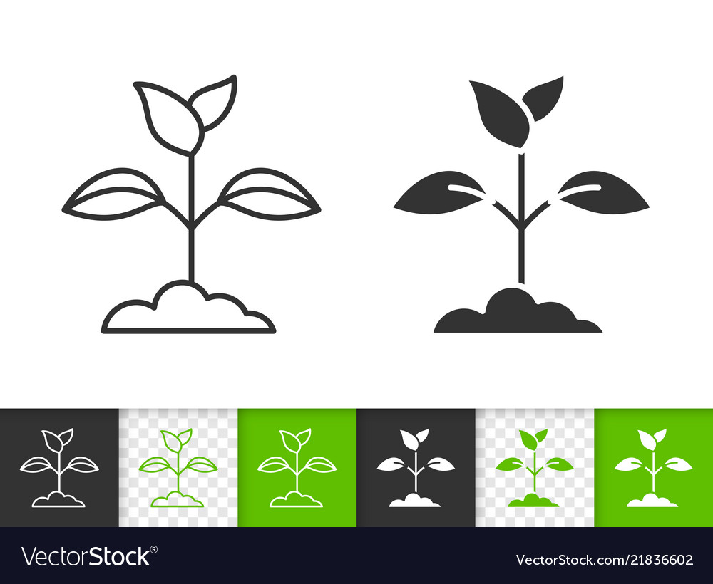 Branch and Leaf Line Icon