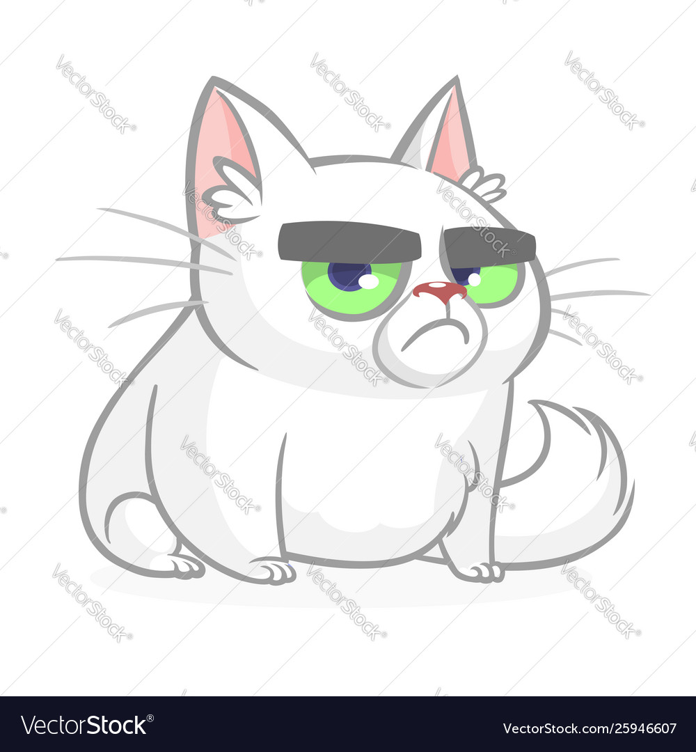 Cartoon Grumpy White Cat Royalty Free Vector Image