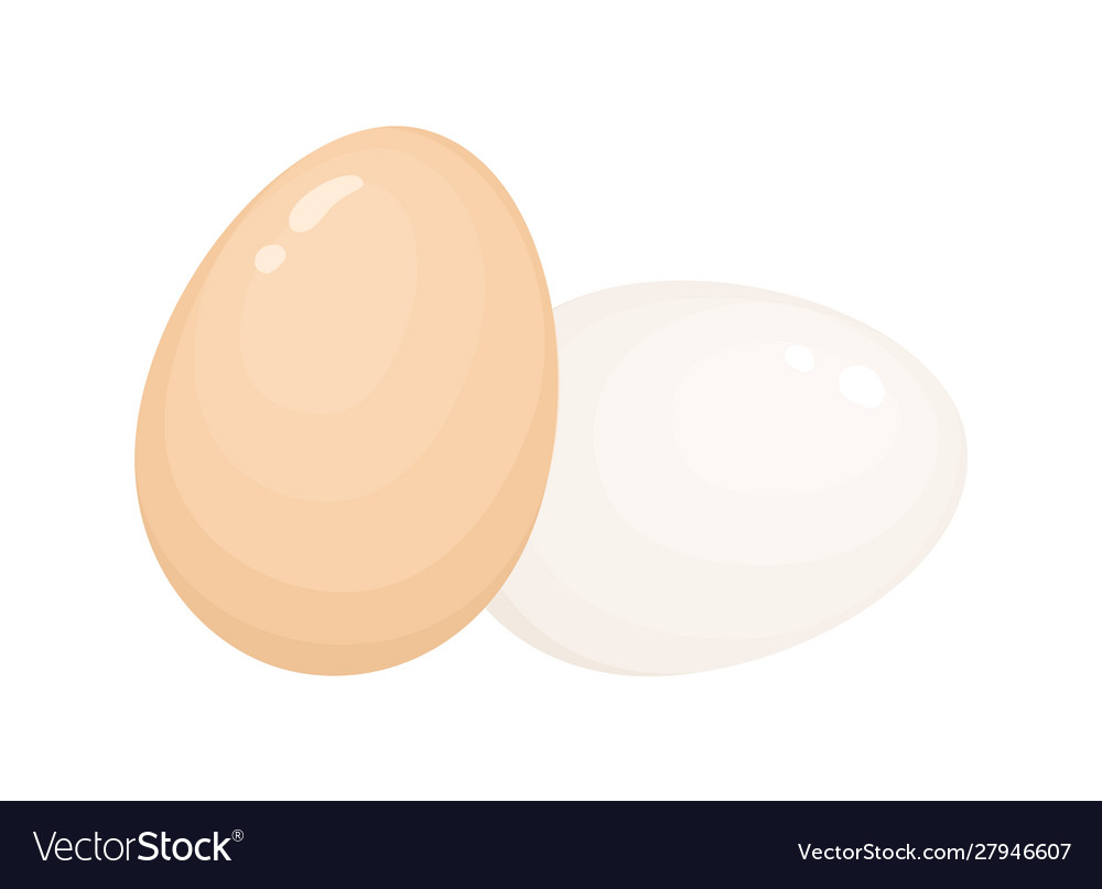 Eggshells whole eggs in shell Royalty Free Vector Image