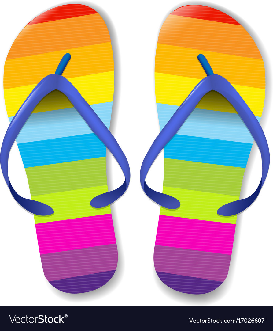 Flip flops Royalty Free Vector Image - VectorStock