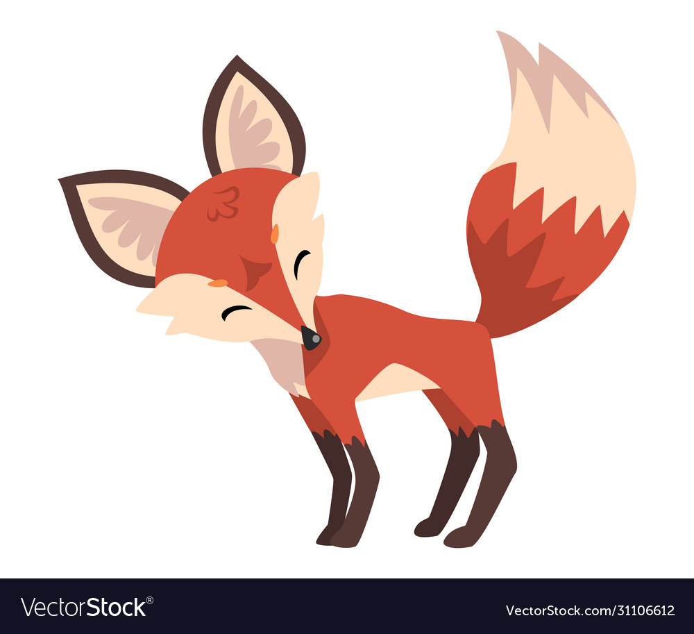 Adorable little fox cute fluffy wild forest