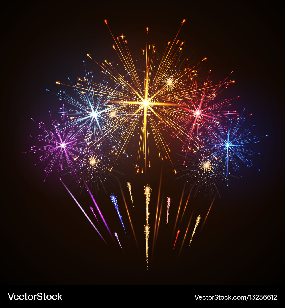 Holiday firework Royalty Free Vector Image - VectorStock