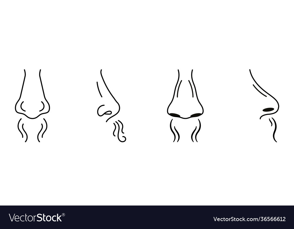 Human nose smell icons breathing Royalty Free Vector Image