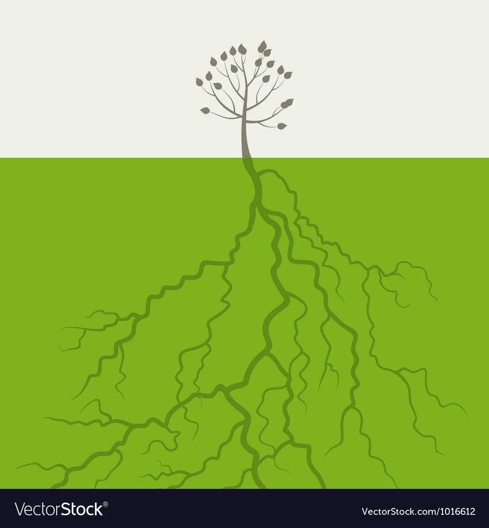 Tree with a root