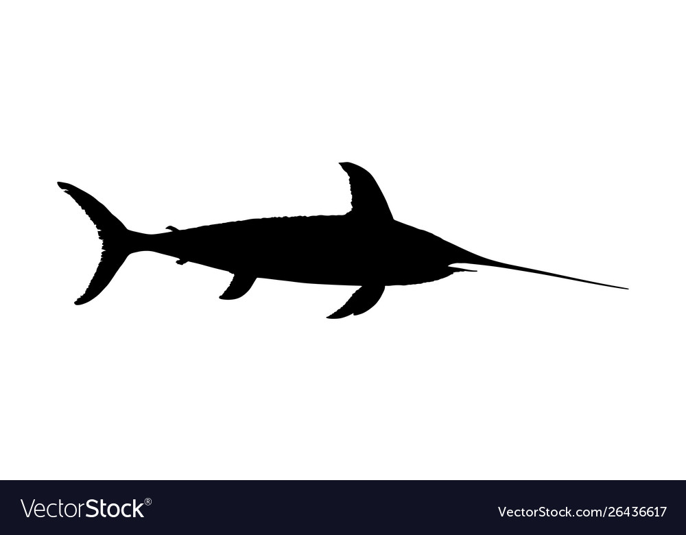 Swordfish silhouette isolated fish symbol Vector Image