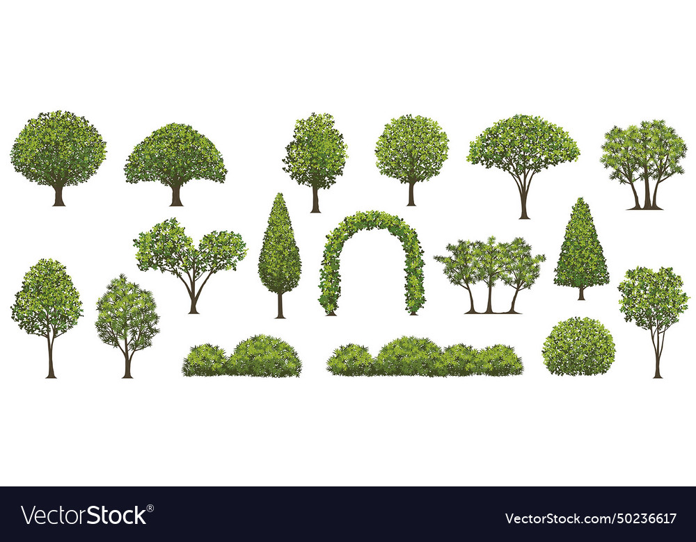 Trees and shrubs set Royalty Free Vector Image