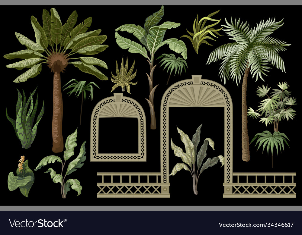 Tropical trees and windows door openings