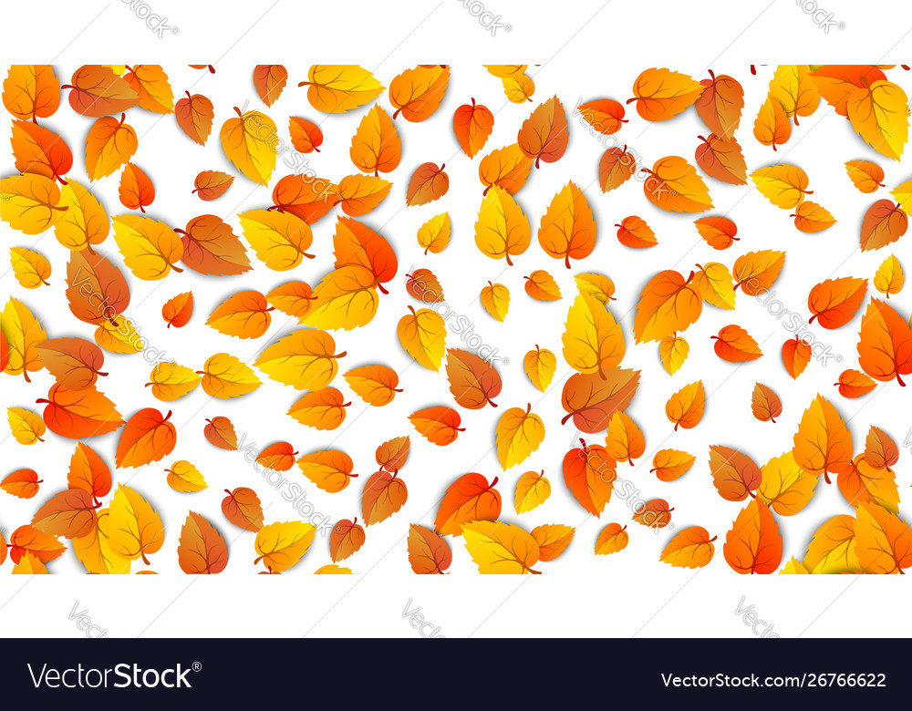 Seamless autumn leaves horizontal banner isolated vector image Seamless autumn leaves horizontal banner isolated
