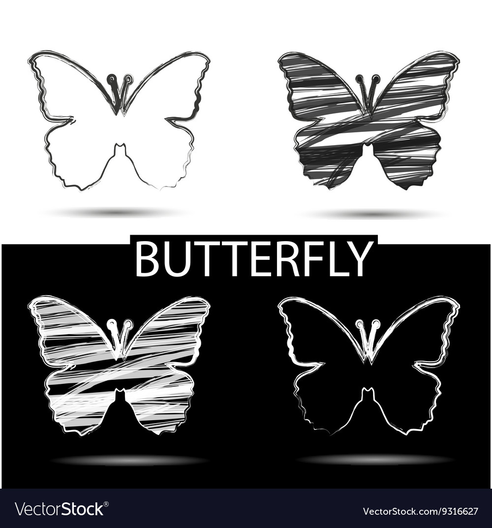 Black and white drawing butterfly symbol of beauty