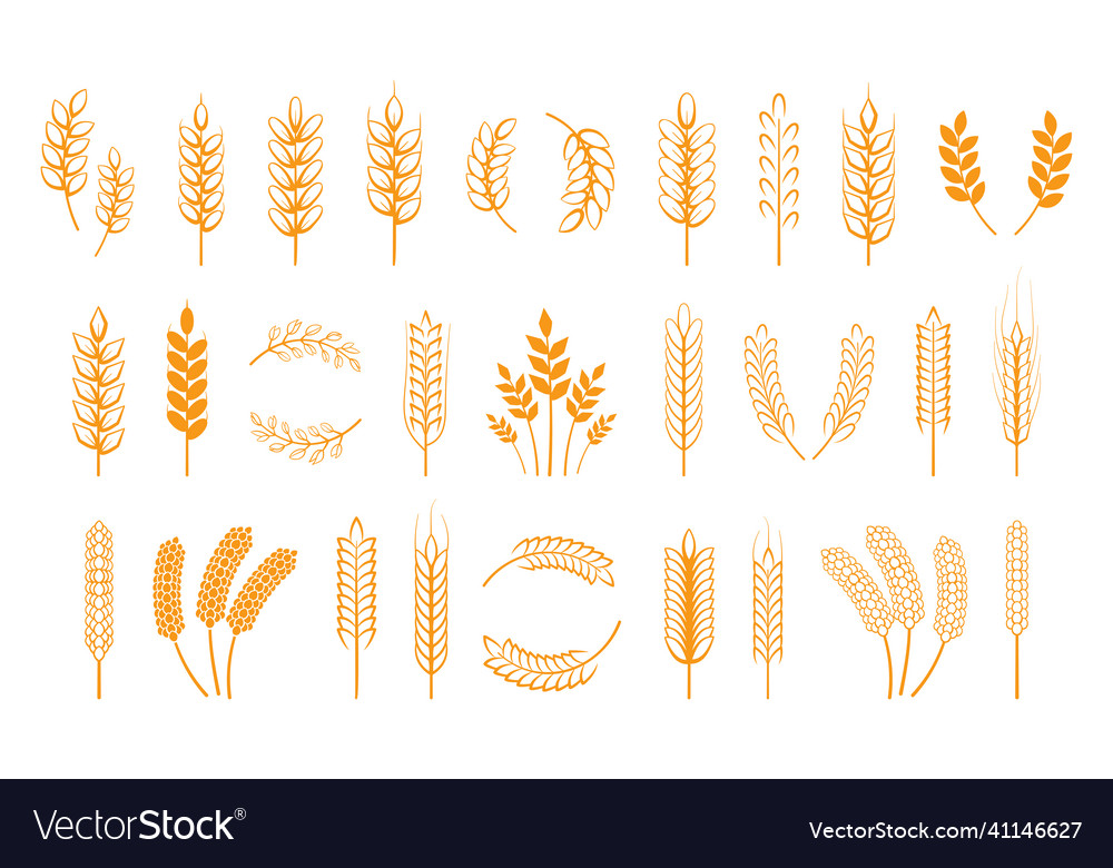 Cereal icons and wreath ears of corn logo barley Vector Image