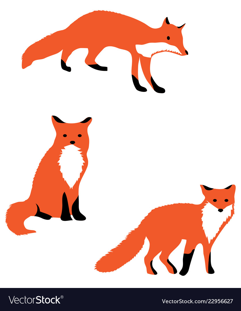 Fox Royalty Free Vector Image - VectorStock