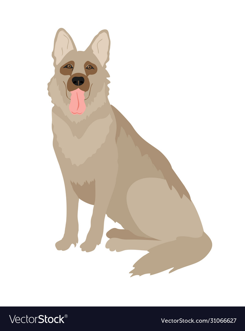 German shepherd dog breed