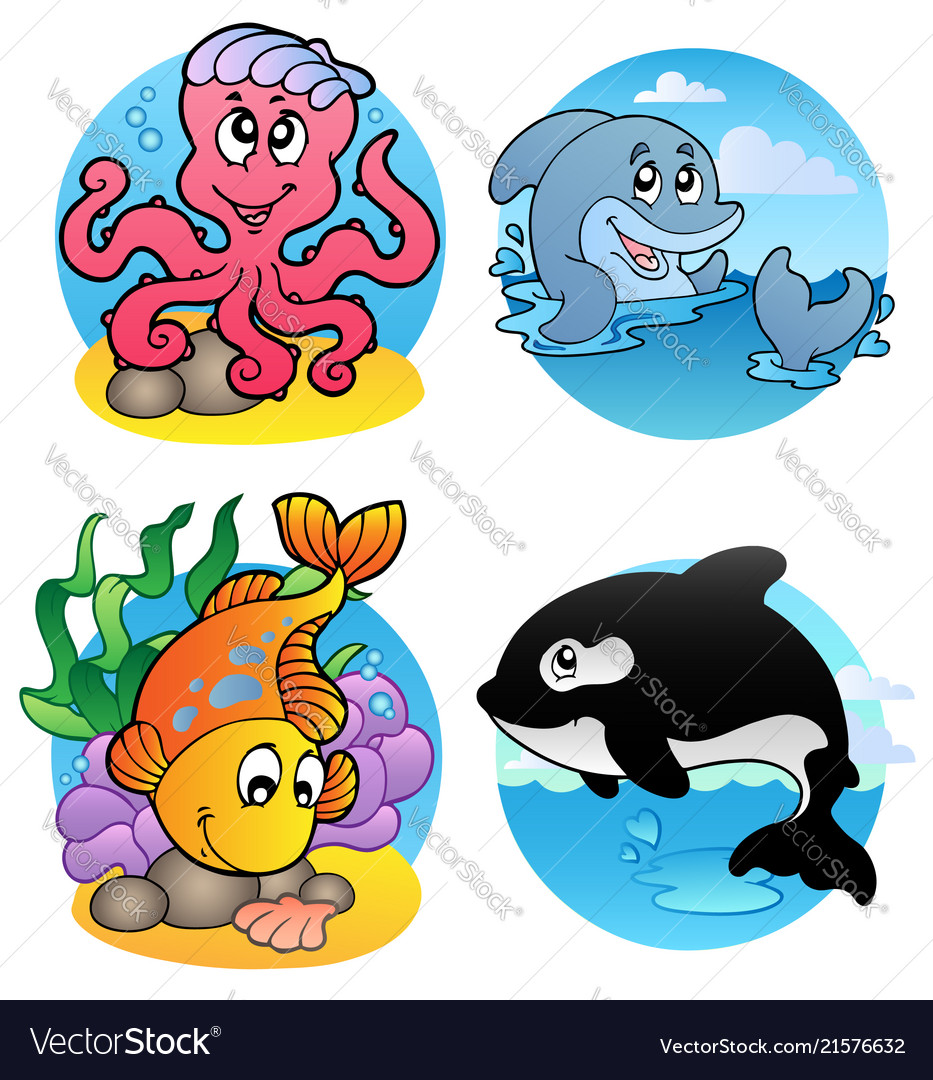 Various aquatic animals and fishes