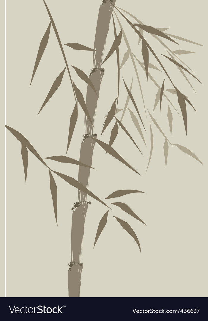 Bamboo Texture Background