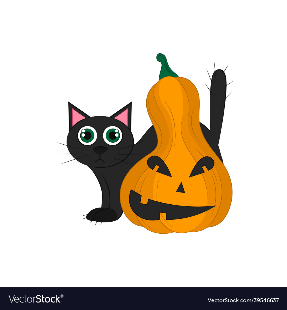 Black cat with pumpkin isolated on a white Vector Image