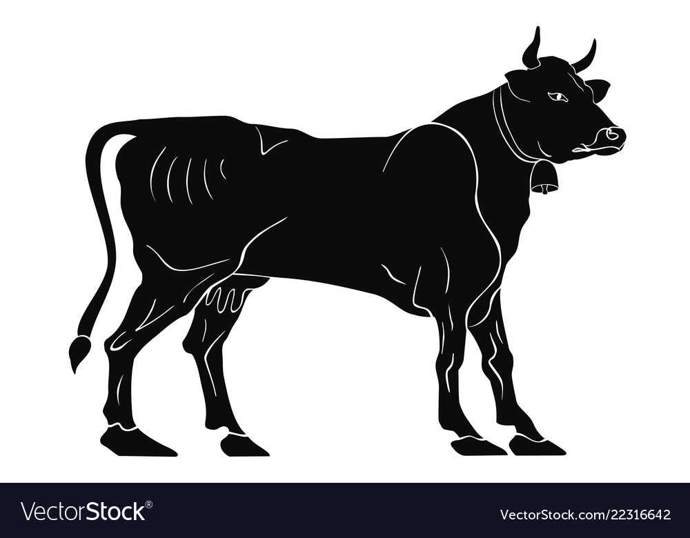 Cow on a white background Royalty Free Vector Image