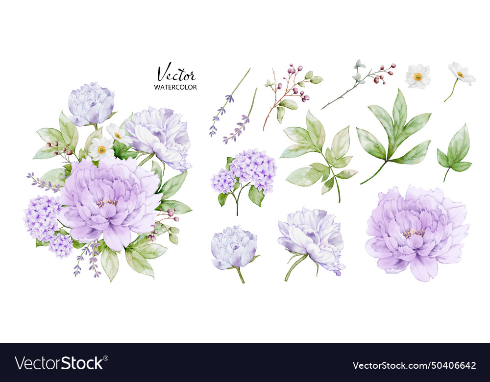 Set of watercolor bouquets with peony flower Vector Image