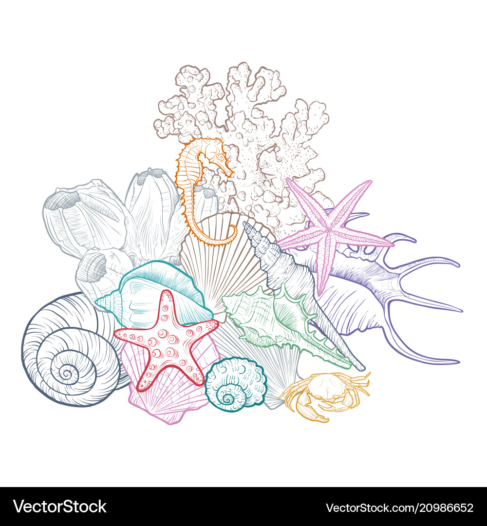 Background with seashells Royalty Free Vector Image