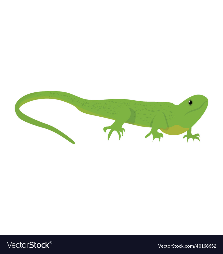 Lizard Royalty Free Vector Image - VectorStock