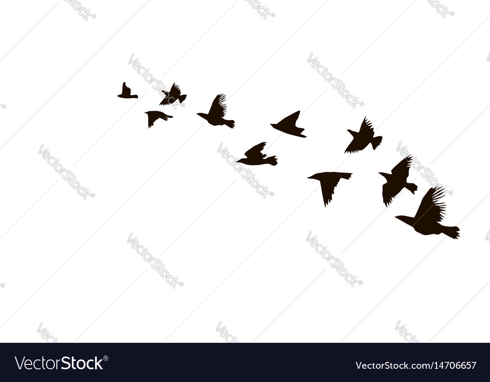A flock of flying birds starlings