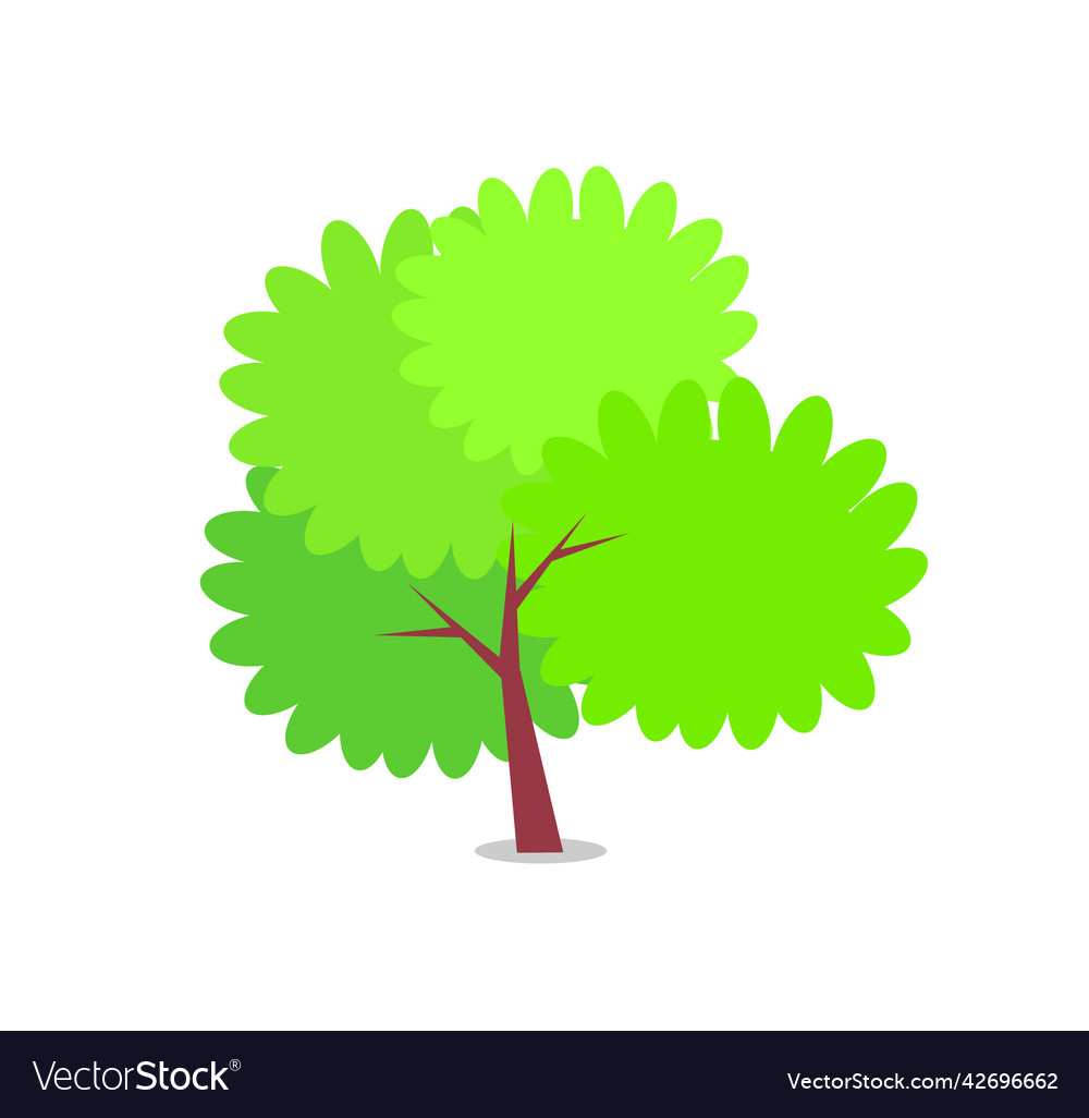 Green Bushy Tree With Big Round Branches Vector Image