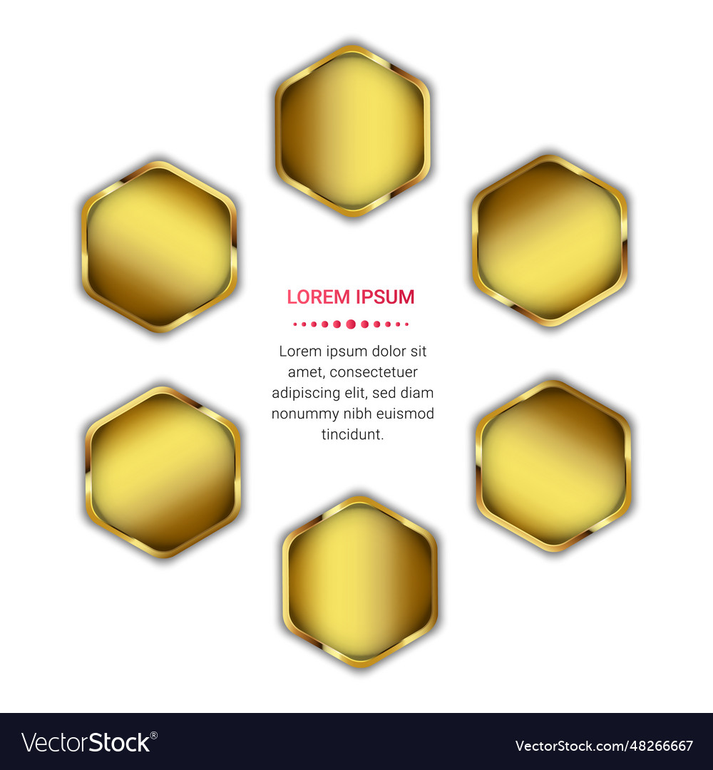 Golden circular hexagon with text space vector image Golden circular hexagon with text space