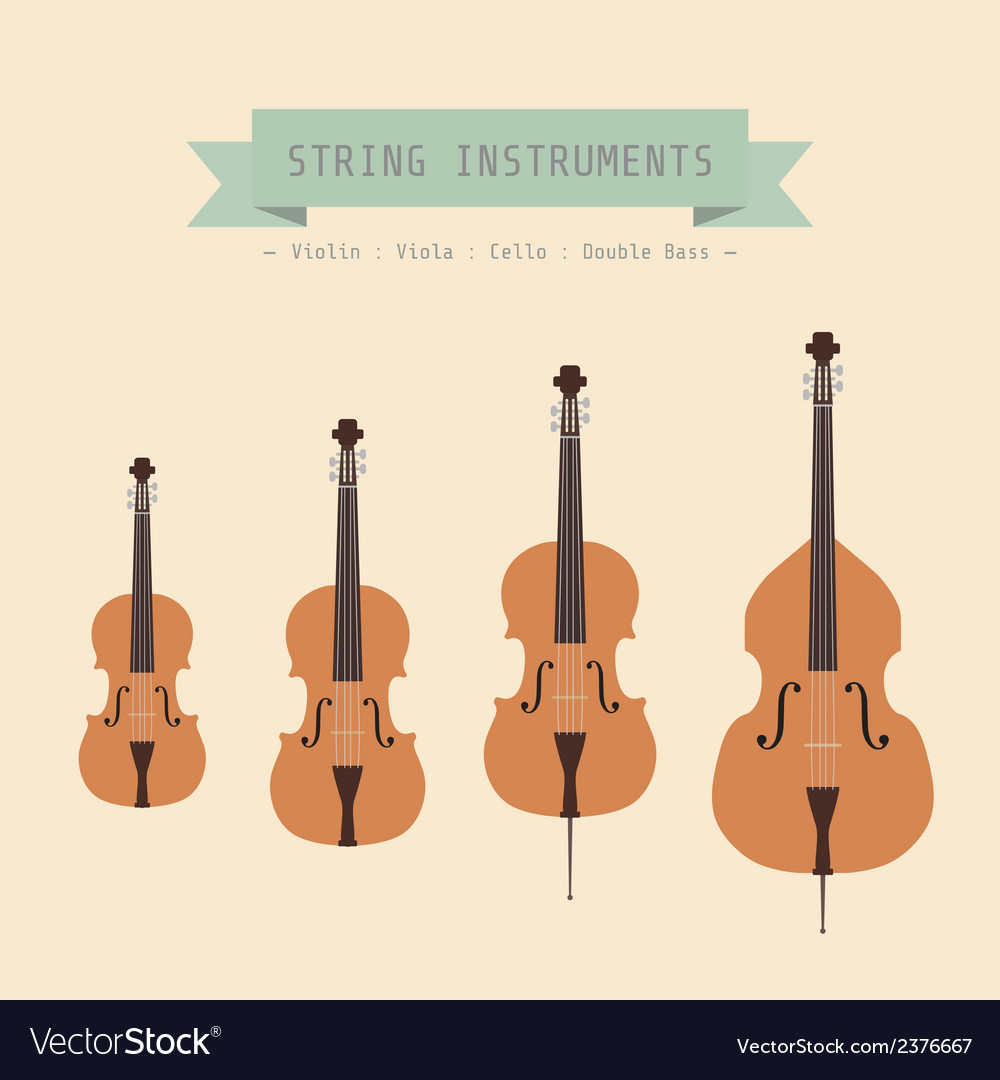 String Instruments Family