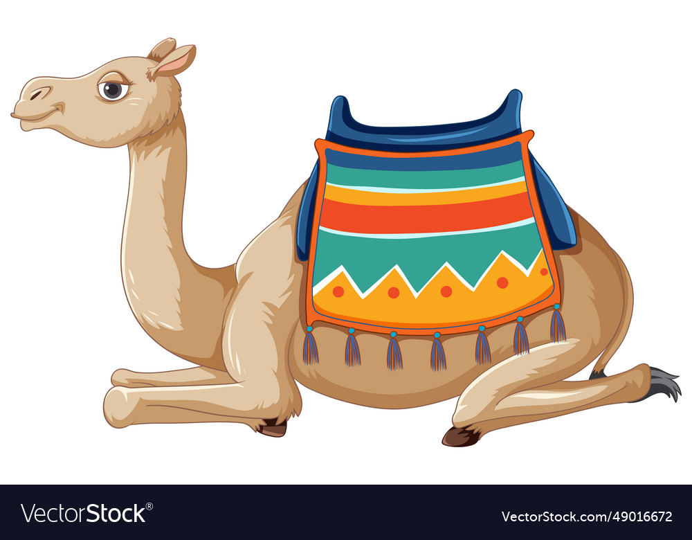 Cartoon camel with saddle sitting Royalty Free Vector Image