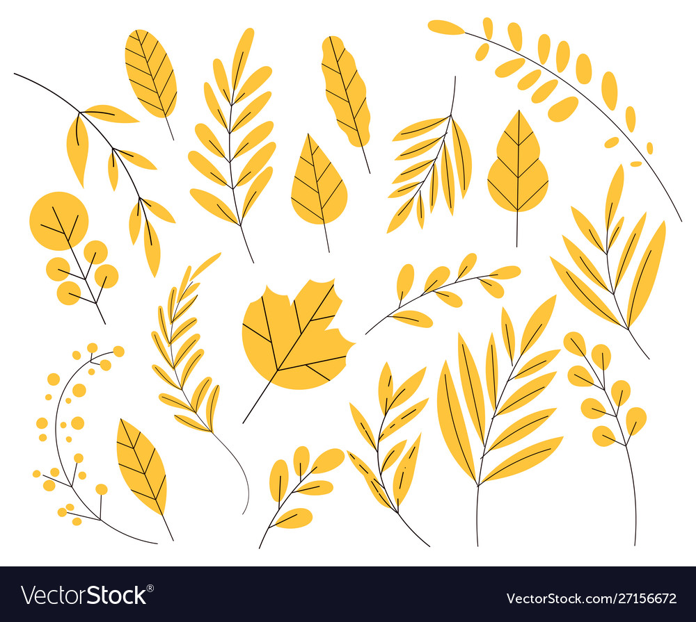 Yellow leaf in a flat style set autumn leaves Vector Image