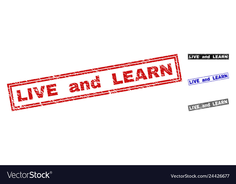 Grunge live and learn textured rectangle
