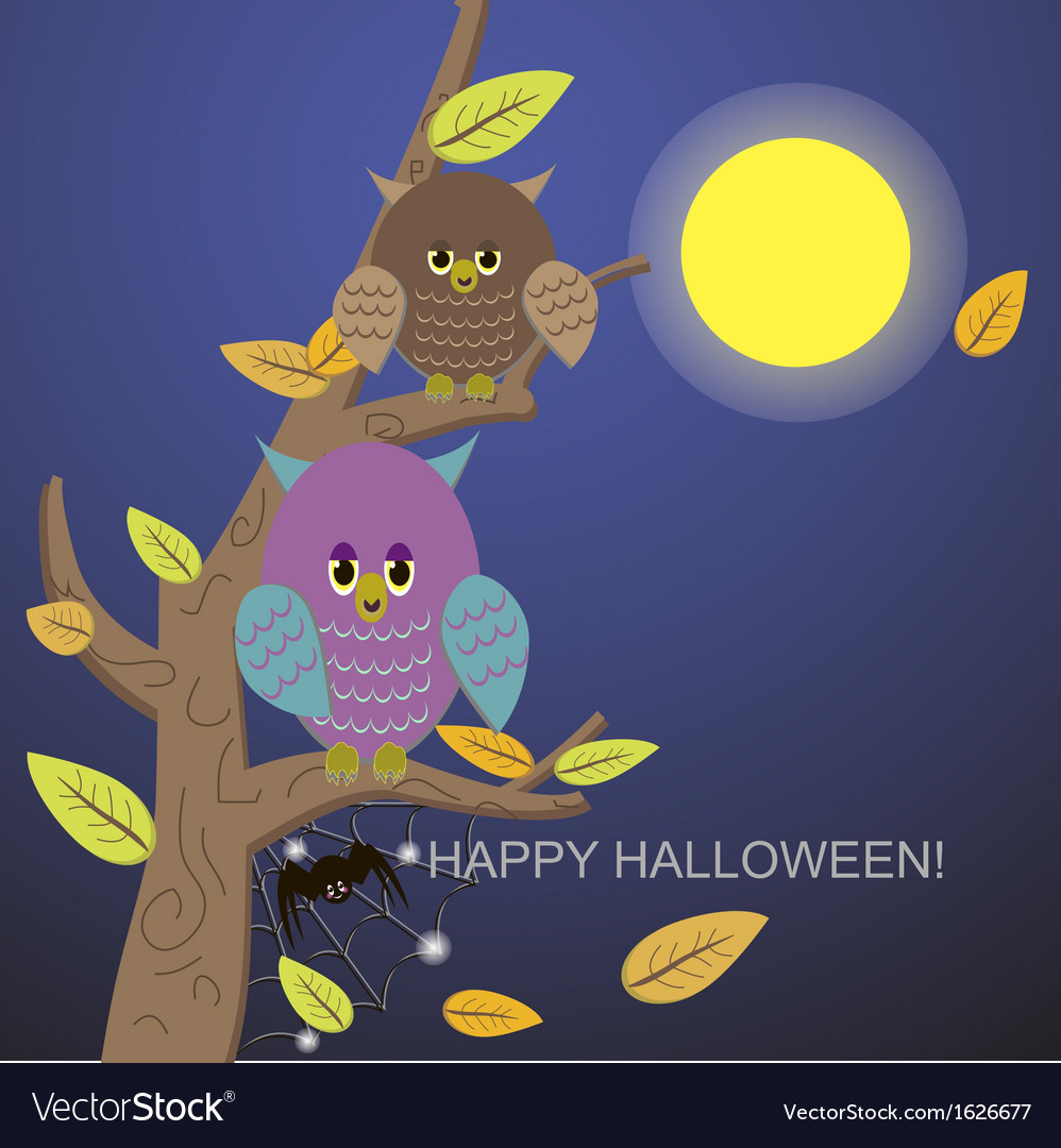 Spiders in the web tree and owl