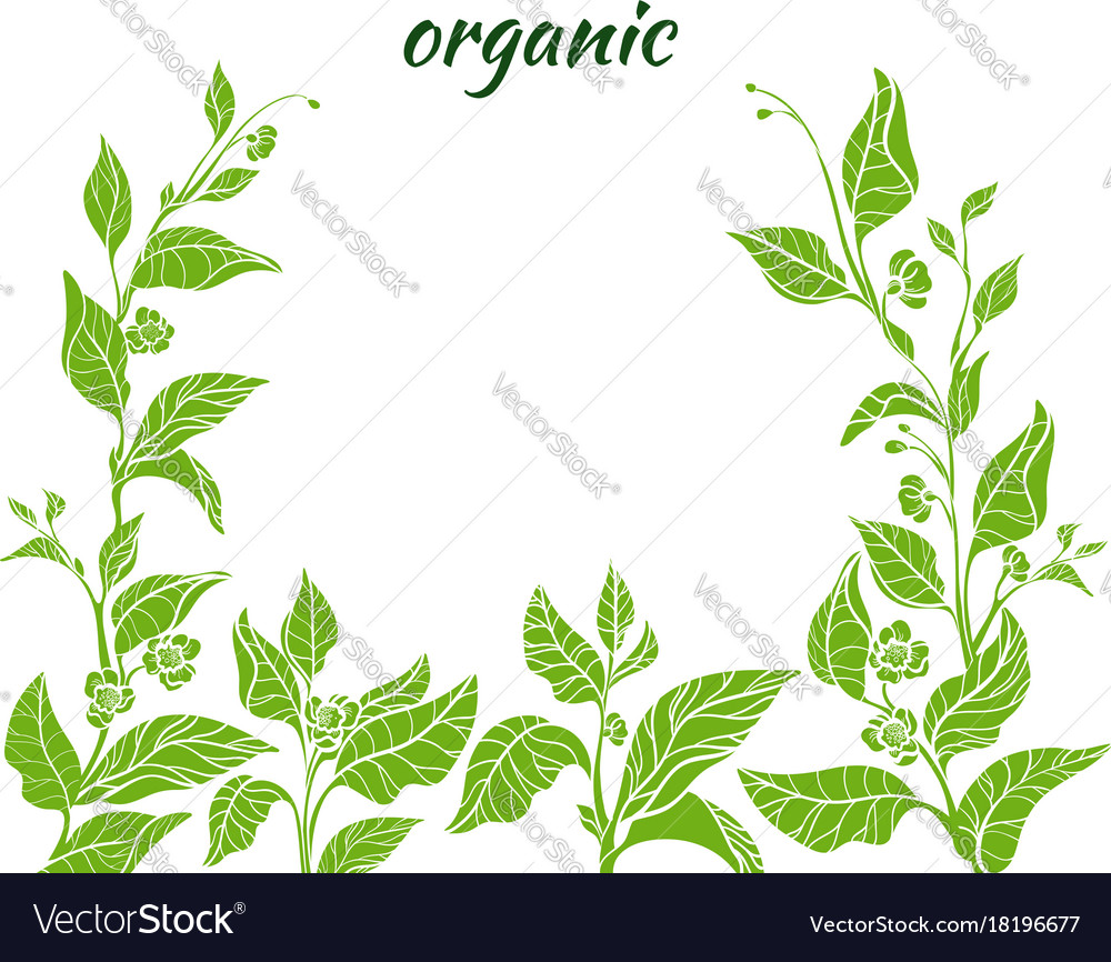 Template organic green 2