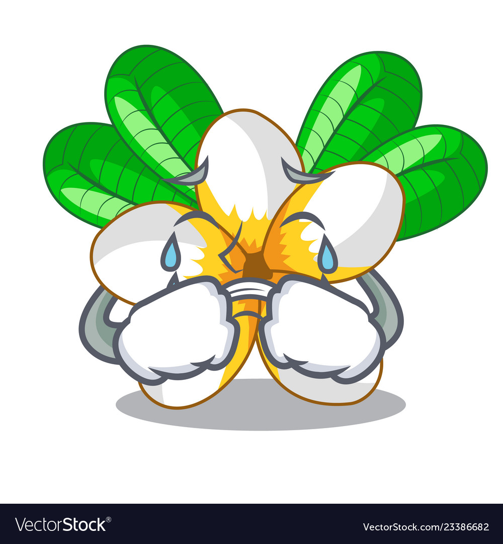 Crying frangipani flower in the cartoon tree Vector Image