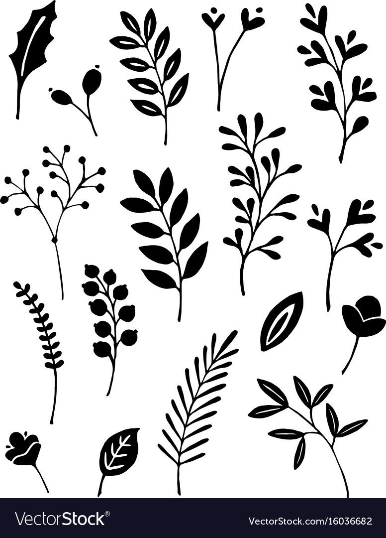 Leaves Royalty Free Vector Image - VectorStock