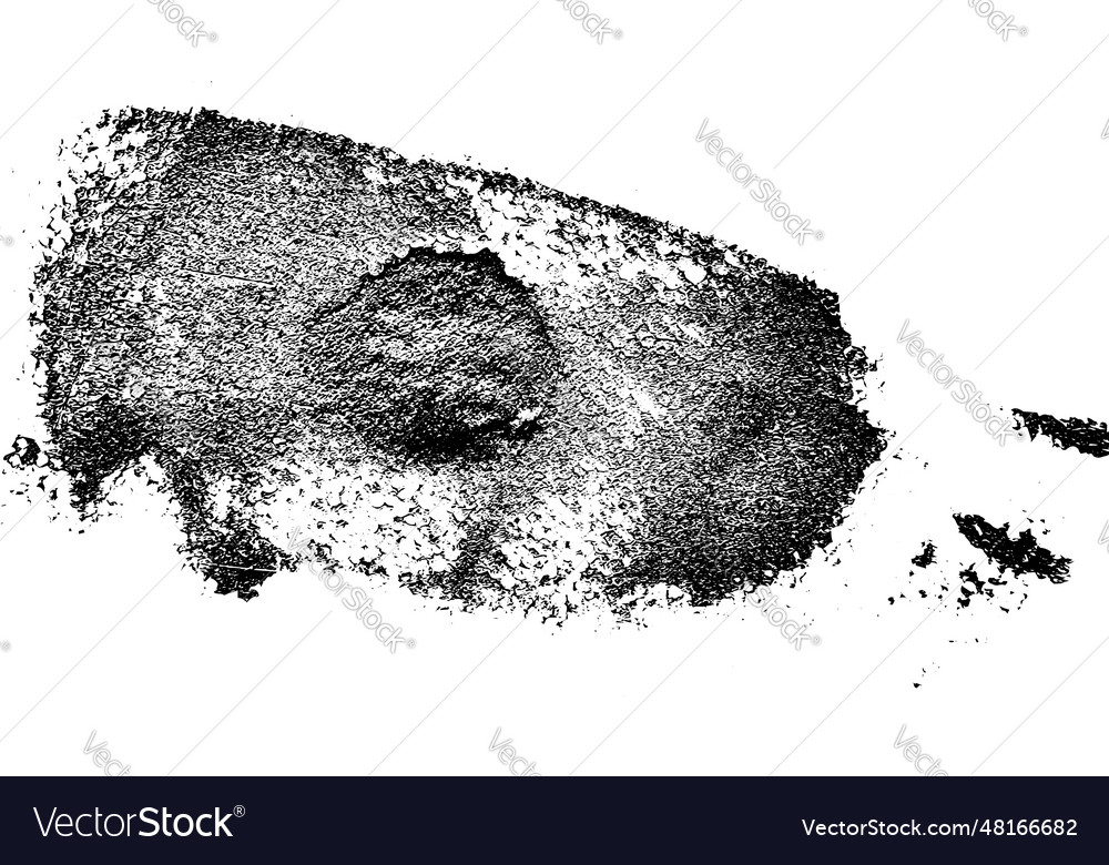 Rustic splash texture abstract background vector image Rustic splash texture abstract background