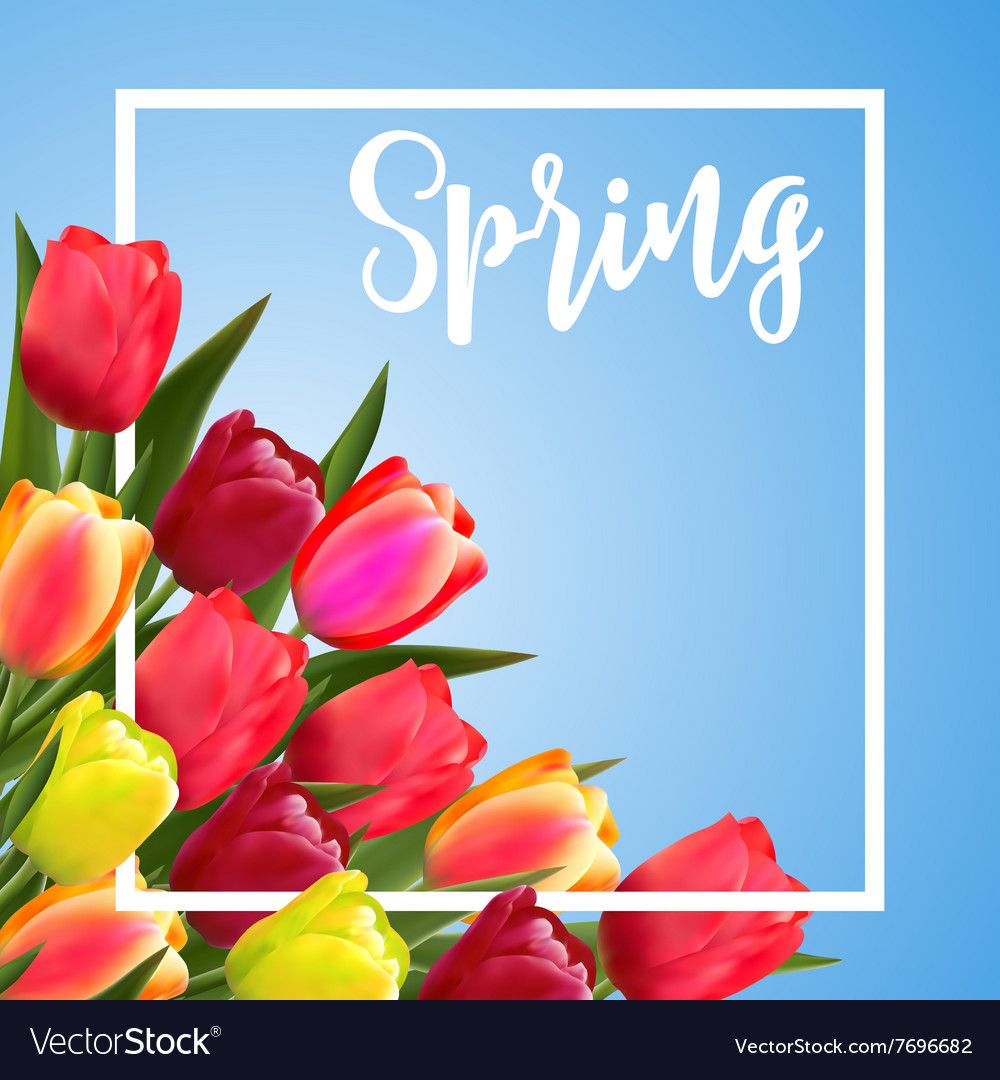 Spring text with tulip flower