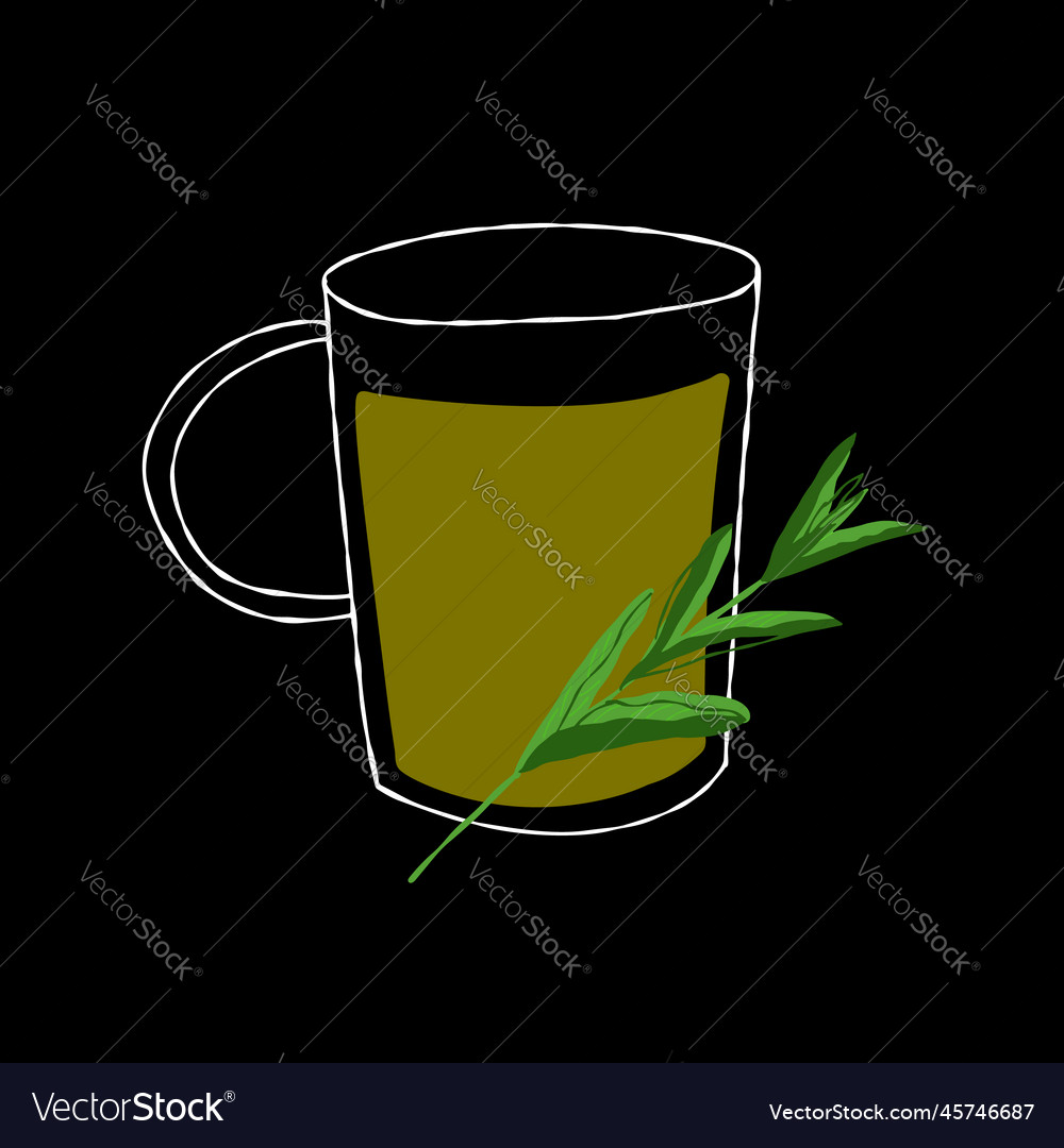 Abstract glass cup with herbal stevia Royalty Free Vector