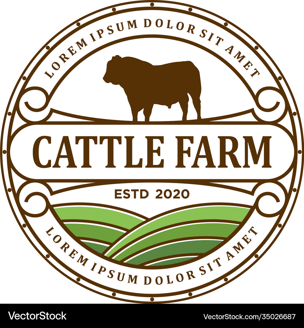 Cattle farm logo design angus cow beef Vector Image