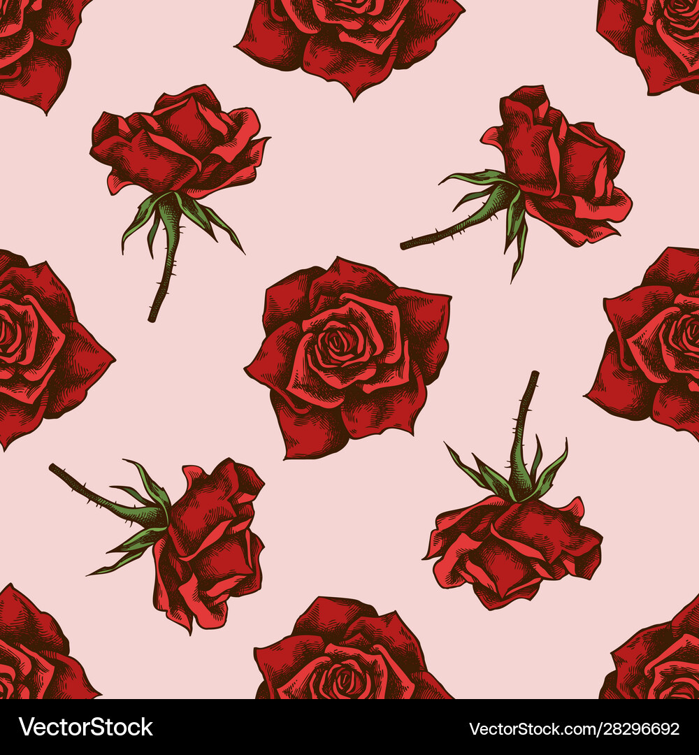 Seamless pattern with hand drawn colored roses Vector Image