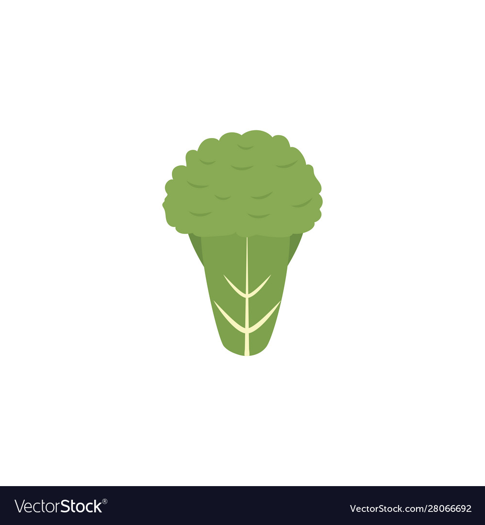 Vegetable celery flat style icon