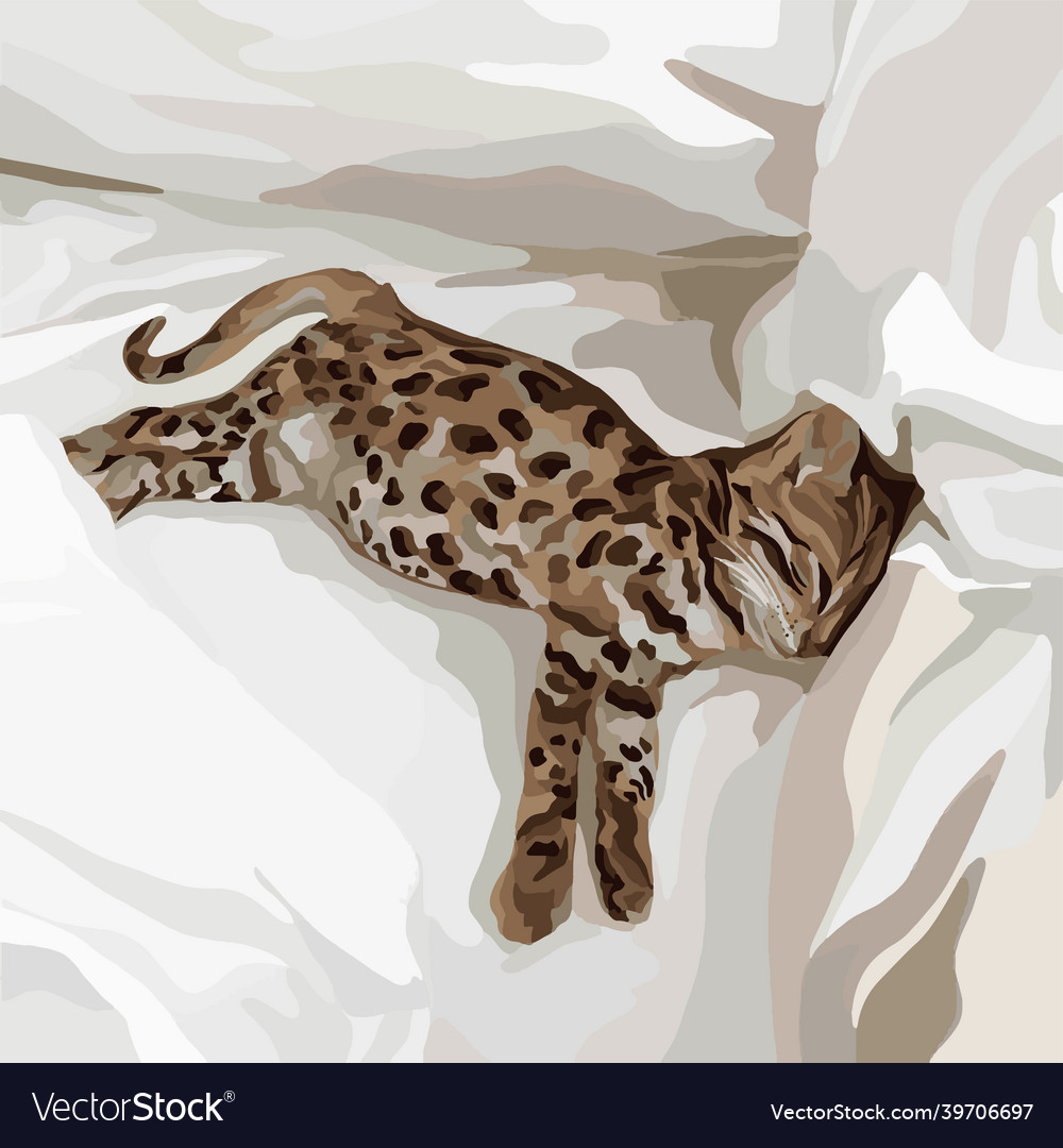 A small kitten with leopard print is lying vector image A small kitten with leopard print is lying