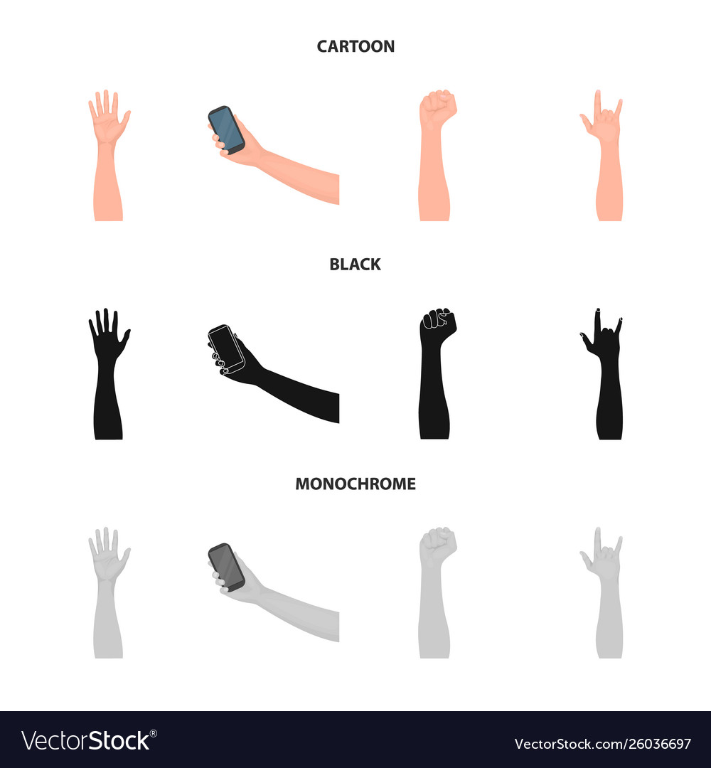 Isolated object and animated symbol collection