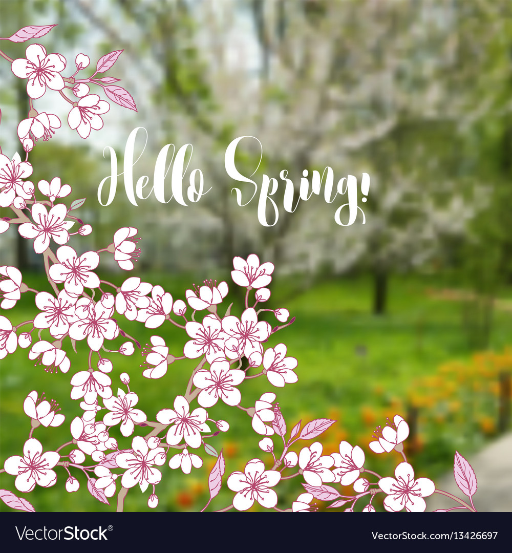 Spring background with sakura