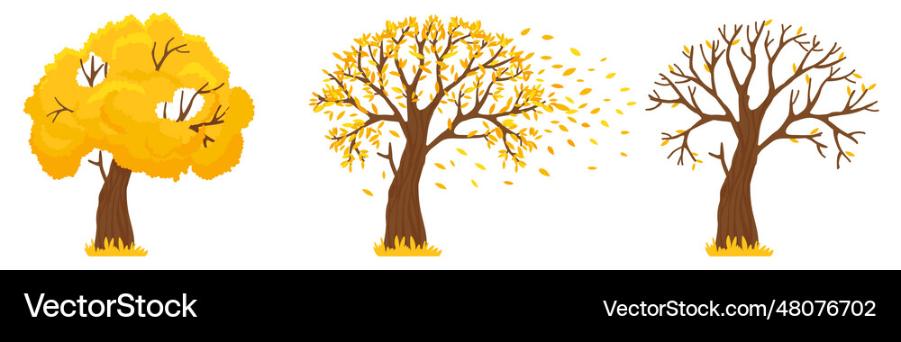 Autumn tree yellow leaves fall trees with fallen Vector Image