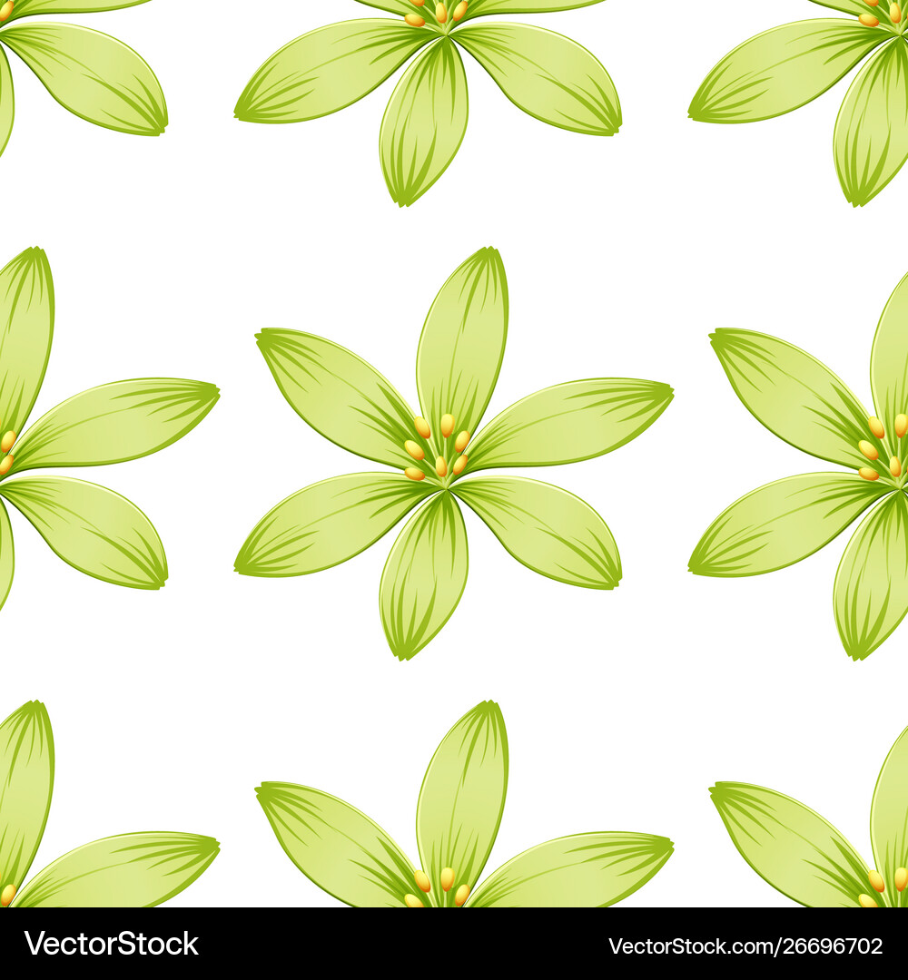 Seamless design pattern isolated on white Vector Image