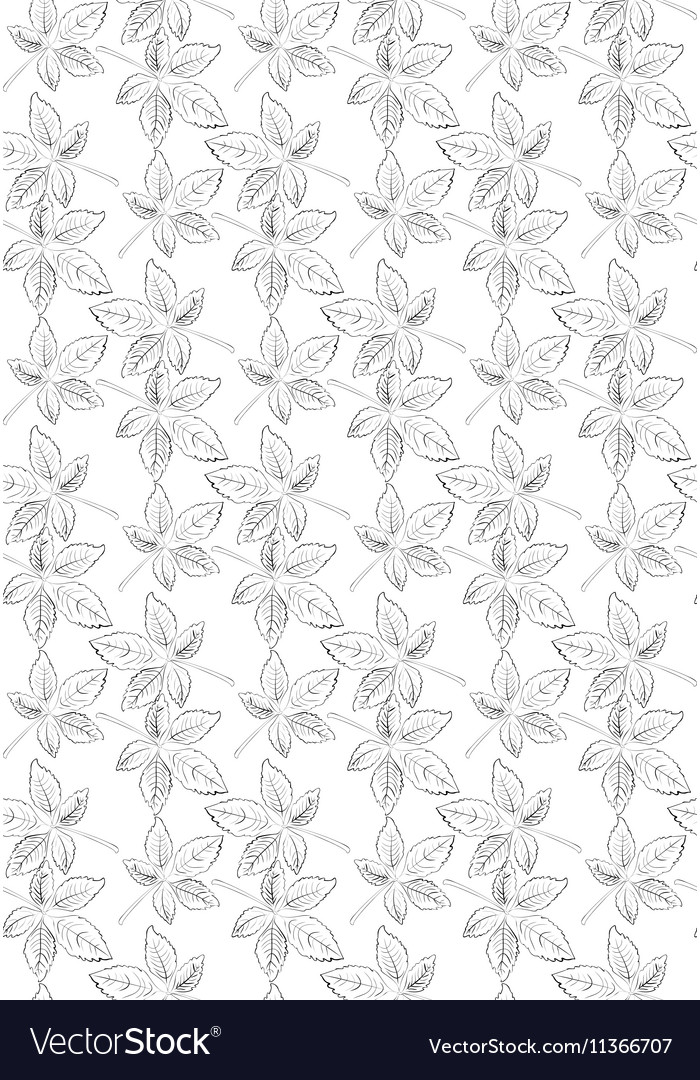 Decorative seamless black and white pattern