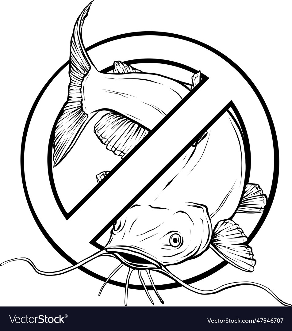 Handdrawn catfish black and white sketch Vector Image